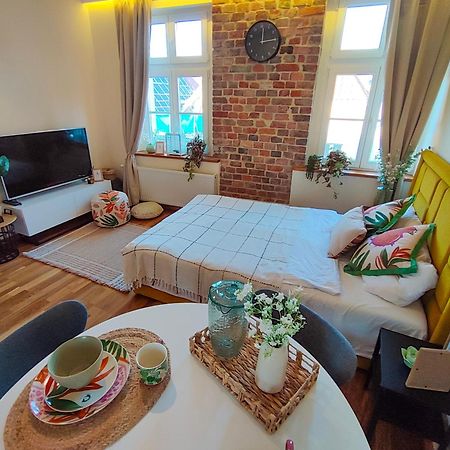 Apartamenty Piekary 11 Przy Wisle By Rentoom Торунь Экстерьер фото